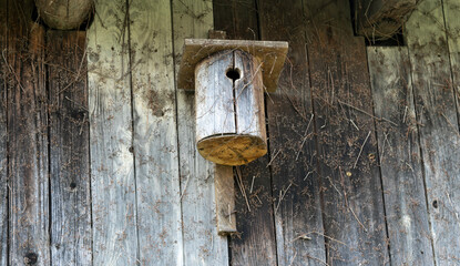 birdhouse on wooden background