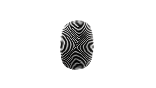 Isolated fingerprint pattern on a transparent background showing unique identification and security measures png