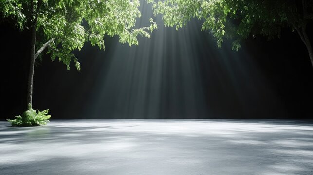 Sunlight streams through trees onto a dark floor. Lush foliage casts shadows on a smooth, light gray surface
