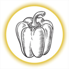 Bell Pepper Black and White Line Art Illustration,Hand Drawn Bell Pepper Outline Drawing,Simple Bell Pepper Sketch for Coloring,Realistic Bell Pepper Line Art Vector,Vegetable Bell Pepper Black
