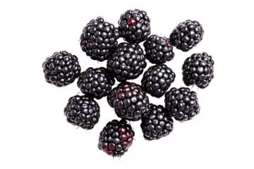 A close up shot of a pile of fresh blackberries on a black background in sharp focus detail view