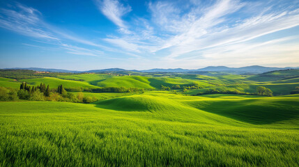 Rolling Hills and Blue Sky: A panoramic vista of rolling green hills stretches as far as the eye can see, capped by a bright blue sky with wispy white clouds.