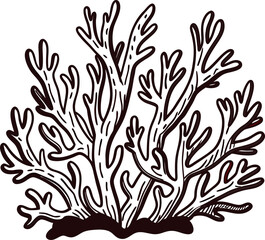 Black and white of intricate coral reef structure with detailed branch patterns in natural setting