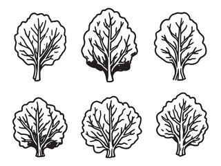 Simple Line Art Illustration of Collard Greens Leaves 