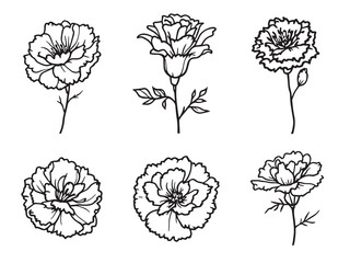 Simple Yet Beautiful Carnation Flower Outline for Art Lovers 