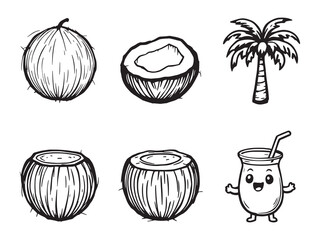 Tropical Coconut Outline in Elegant Line Art Style for Design 