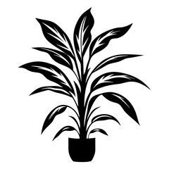 Dramatic Black and White Illustration of a Houseplant in a Decorative Pot