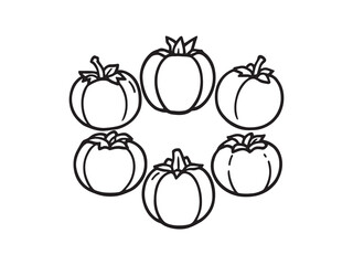 American persimmon line art black and white botanical vector drawing 