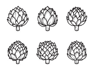 Fototapeta premium Artichoke line art unique botanical illustration ideal for digital projects 