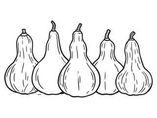 Ash gourd line art minimal design for modern digital creators 