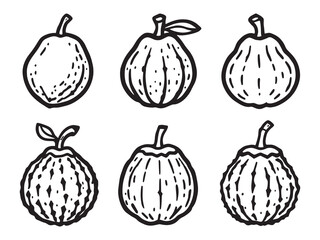 Asimina line art elegant botanical design for creative digital use