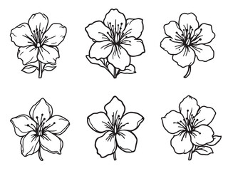 Azalea line art elegant flowers to enhance your visual content