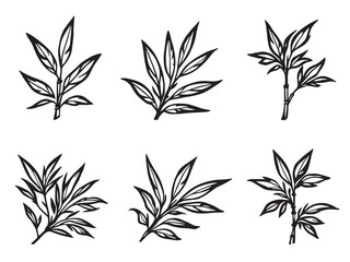 Bamboo leaf line art trendy digital graphic