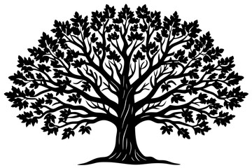 Fototapeta premium Vector Line Art Tree Illustration – Minimal Tree Clipart, Logo Icon Design on White Background