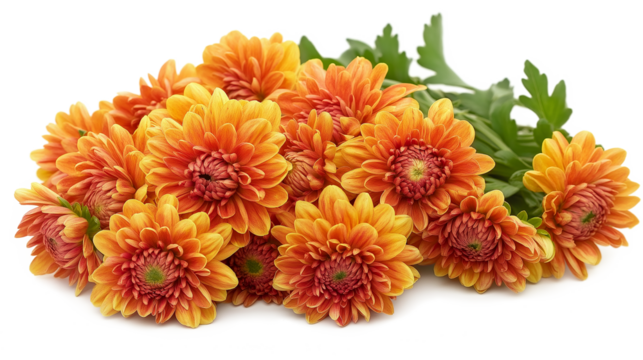 A bunch of orange flowers with green stems. The flowers are arranged in a way that they are all facing the same direction