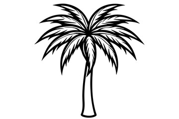 Obraz premium Vector Line Art Tree Illustration – Minimal Tree Clipart, Logo Icon Design on White Background