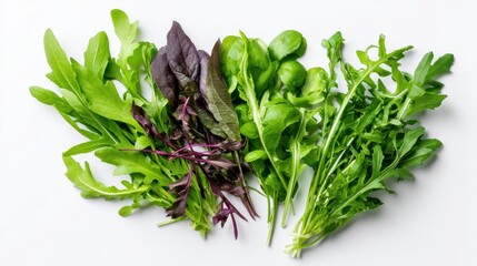 Fresh Assortment of Organic Green Leafy Herbs and Salad Greens for Healthy Cooking and Salads