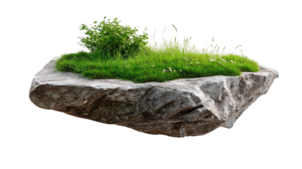 Floating Rock Ecosystem: A minimalist scene presents a solid, grounded rock, naturally textured, supporting a small patch of vibrant green grass and foliage, a microcosm of the outdoors.