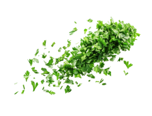 Chopped fresh parsley kitchen counter food bright space isolated on transparent background