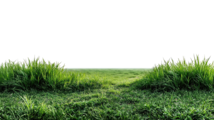 Green Meadow: A vivid and expansive green meadow, brimming with lush grass, inviting the viewer to immerse themselves in a tranquil landscape.