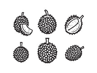 Detailed Line Art Illustration of Durian Fruit