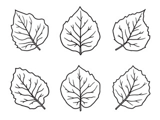 Detailed Line Art of Bougainvillea Leaf in Elegant Design 