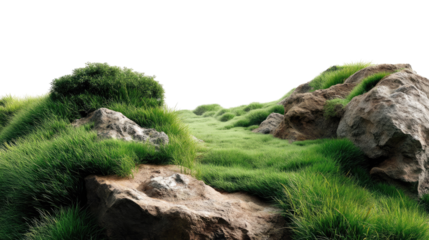 Nature's Pathway: A scenic, low-angle perspective of a captivating green meadow on a hill, lush grass, rocks, and subtle pathways guide the viewer's eye towards a soft sky.