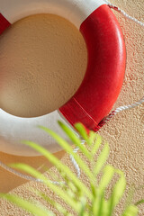 Lifebuoy on wall Palm leaf