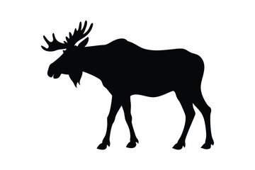 Majestic Moose Silhouette in the Wild