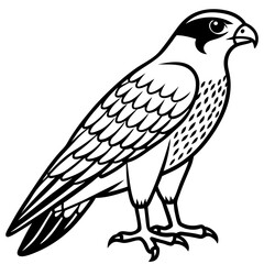 Sleek Falcon Outline Vector Illustration