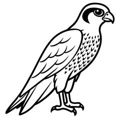 Sleek Falcon Outline Vector Illustration