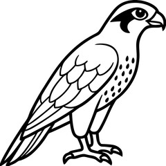 Sleek Falcon Outline Vector Illustration