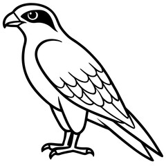 Sleek Falcon Outline Vector Illustration