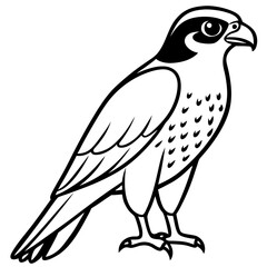 Sleek Falcon Outline Vector Illustration