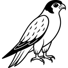 Sleek Falcon Outline Vector Illustration
