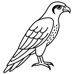 Sleek Falcon Outline Vector Illustration