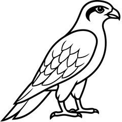 Sleek Falcon Outline Vector Illustration