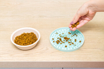 A breeder pours cat food into a slow feeding bowl.