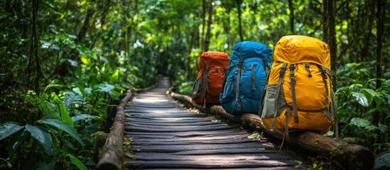 Rainforest trek Backpacks on jungle path
