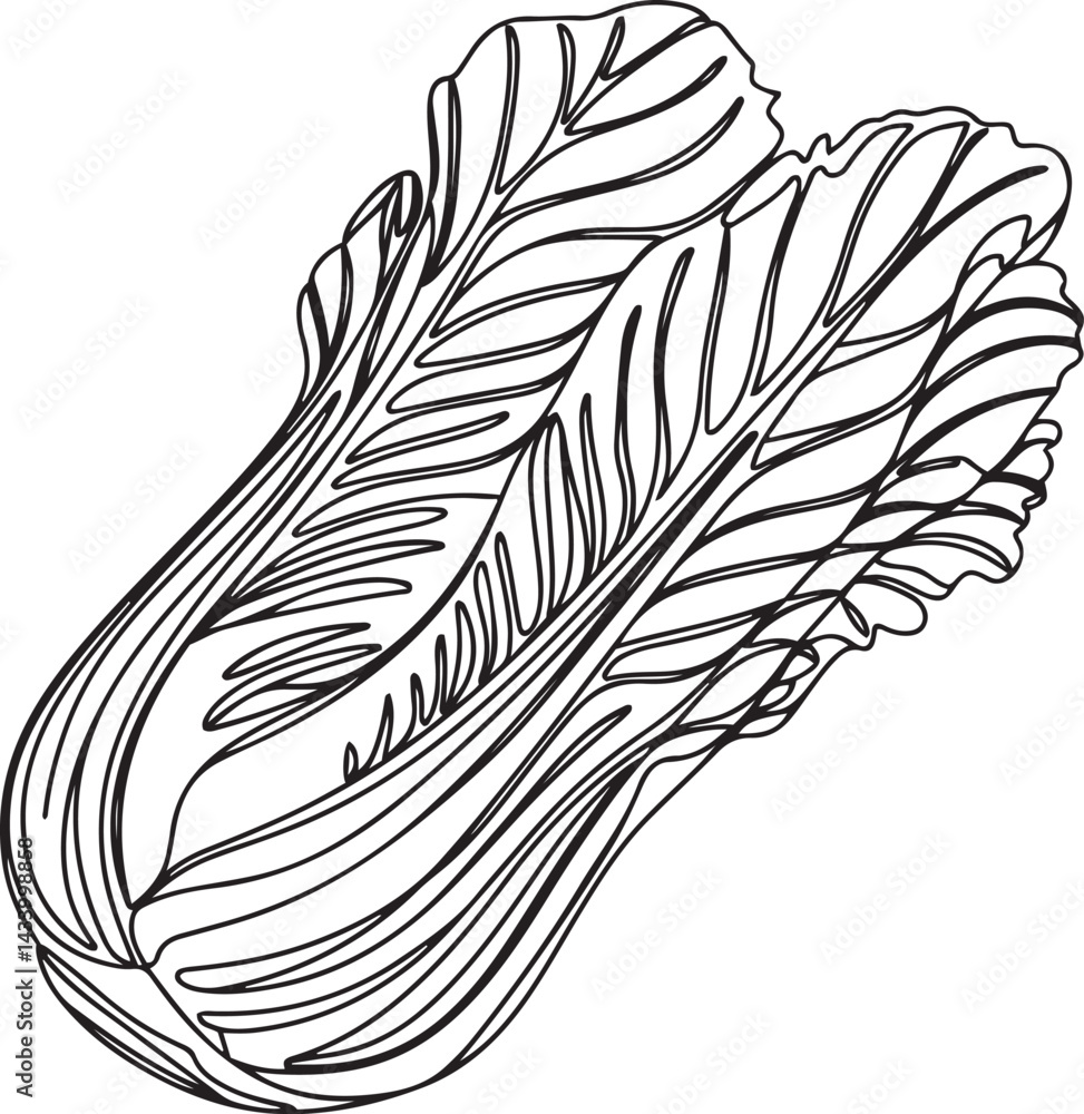 Poster modern continuous line art vector of pak choi cabbage in black minimalist design on white background