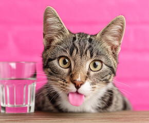 A curious cat with a pink tongue caught mid-sip from a clear glass