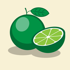 whole and half lime fruit illustration