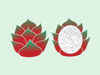 exotic tropical dragon fruit flat vector illustration