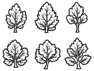 Elegant Detailed Comfrey Leaf Line Art Design