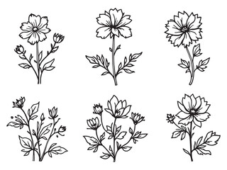 Elegant gentian floral drawing in minimal line style