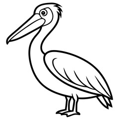 Sleek Pelican Line Art Design