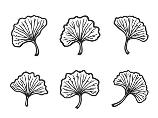 Elegant Ginkgo Leaf Line Art Drawing for Minimalist Design 