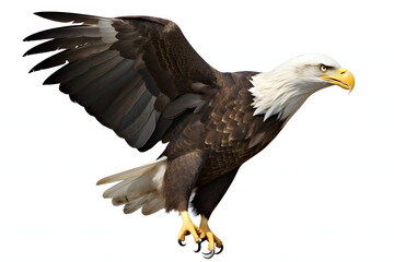 Obraz premium Majestic bald eagle soars, wings outstretched, a symbol of freedom and power. Striking contrast of white head and tail against rich brown plumage. Mythical creature isolated on a white background 