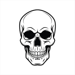 Fototapeta premium human skull vector