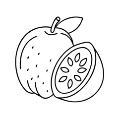 fruit icon icon, fruit icon vector illustration-simple illustration of fruit icon, perfect for fruit icon logos and icons